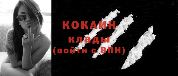 винт Новозыбков