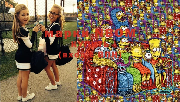 spice Новодвинск