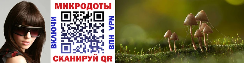 Купить где  Азнакаево  Галлюциногенные грибы MAGIC MUSHROOMS 